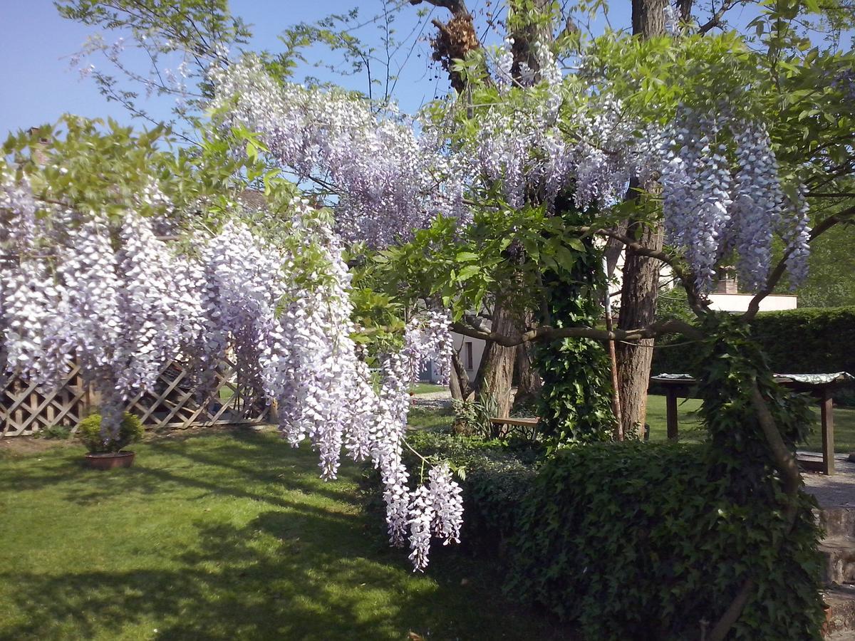 L'Ape In Corte Casa Di Campagna, Via Francigena Stanze E Colazione Vaccarizza Екстер'єр фото