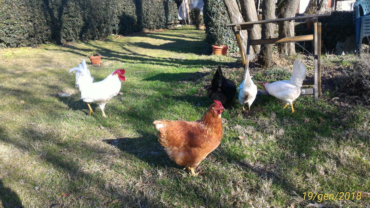 L'Ape In Corte Casa Di Campagna, Via Francigena Stanze E Colazione Vaccarizza Екстер'єр фото